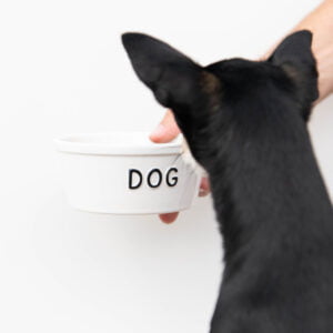 Hundenapf Keramik kleine Hunde weiß
