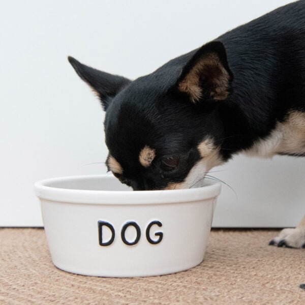 Hundenapf Keramik kleine Hunde