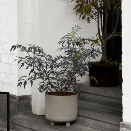 Kristina Daml Studio Bowl XL Blumentopf grau