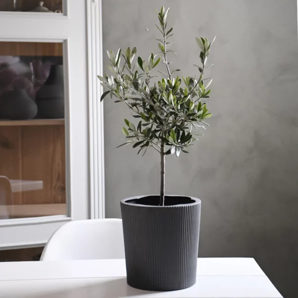 Storefactory Übertopf Eksberg Dark Grey anthrazit
