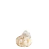 Cooee Design Kürbis Pumpkin HI-065-01-CF