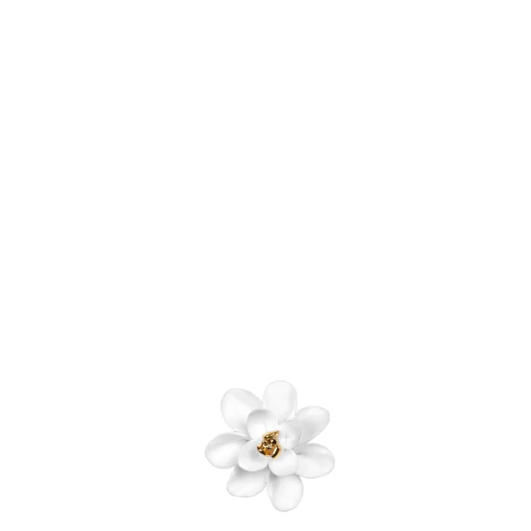 Räder Mini Lotusblüte Glückskästchen Good Vibes 0017940